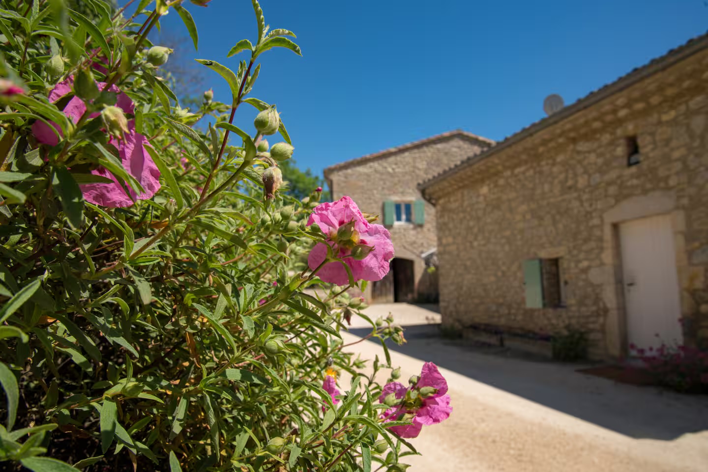 L'arrière-cour fleurie et la façade en pierre